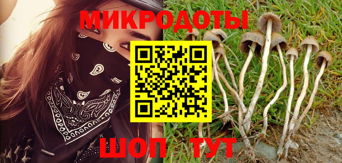 Галлюциногенные грибы мухоморы Лосино-Петровский
