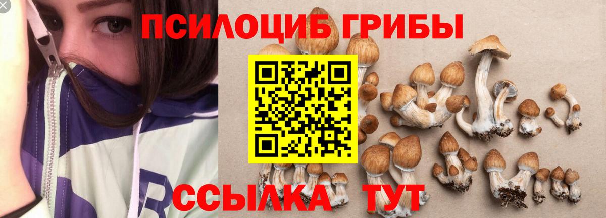 Лосино-Петровский  Галлюциногенные грибы прущие грибы  закладка  Вход с VPN 